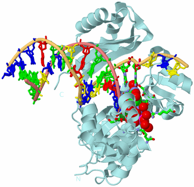 Image Biol. Unit 1 - sites