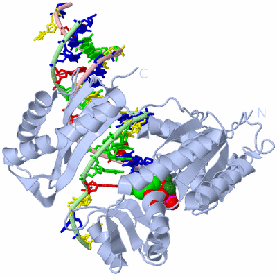 Image Biological Unit 2