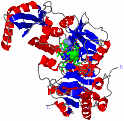 Image Asym. Unit - sites