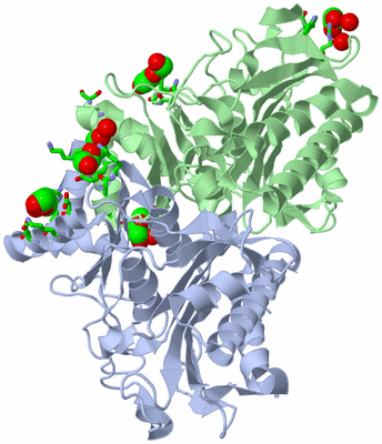 Image Asym./Biol. Unit - sites