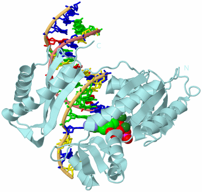 Image Biological Unit 1