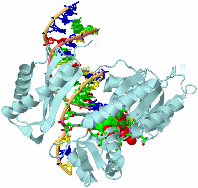 Image Biol. Unit 1 - sites