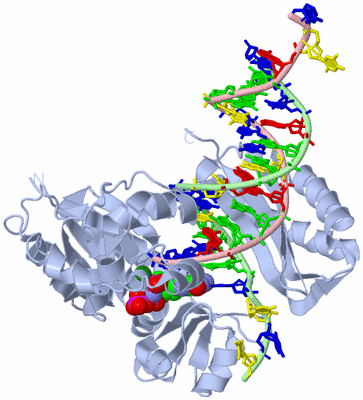 Image Biological Unit 2