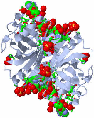 Image Biol. Unit 1 - sites