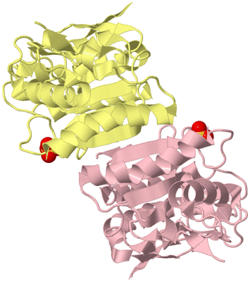 Image Biological Unit 2