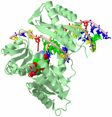 Image Biological Unit 1