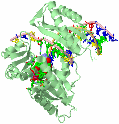 Image Biol. Unit 1 - sites