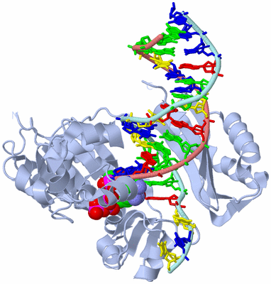 Image Biological Unit 2