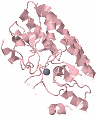 Image Biological Unit 3