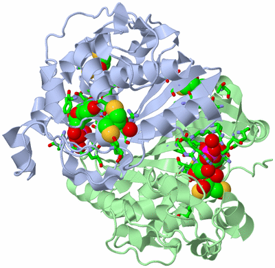 Image Asym./Biol. Unit - sites