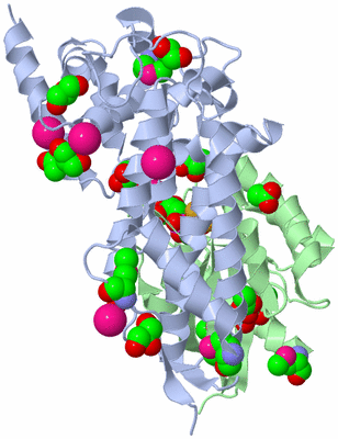 Image Biological Unit 1