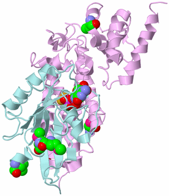 Image Biological Unit 3