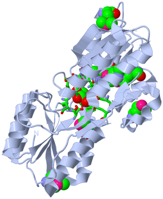 Image Biol. Unit 1 - sites