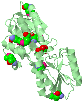 Image Biological Unit 2