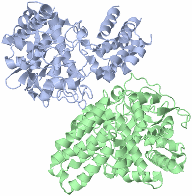 Image Asym./Biol. Unit