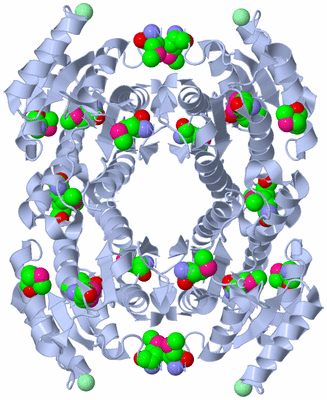 Image Biological Unit 1