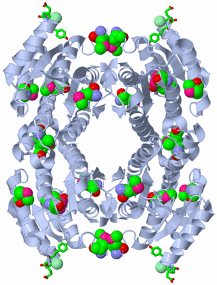 Image Biol. Unit 1 - sites