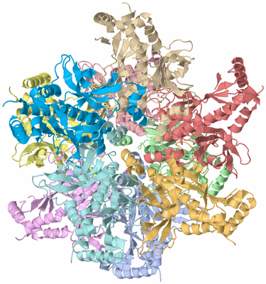 Image Asym./Biol. Unit