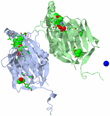 Image Asym. Unit - sites