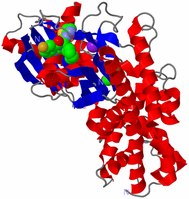 Image Asym./Biol. Unit