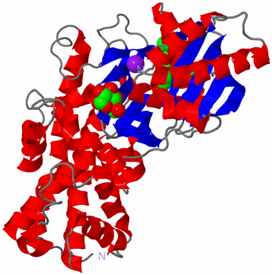 Image Asym./Biol. Unit