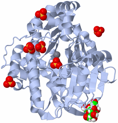 Image Biological Unit 1