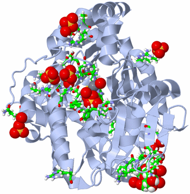 Image Biol. Unit 1 - sites