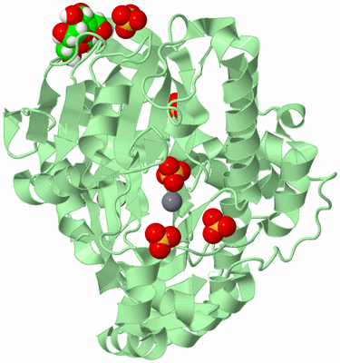 Image Biological Unit 2