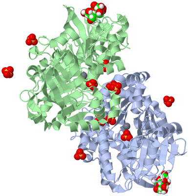 Image Biological Unit 3