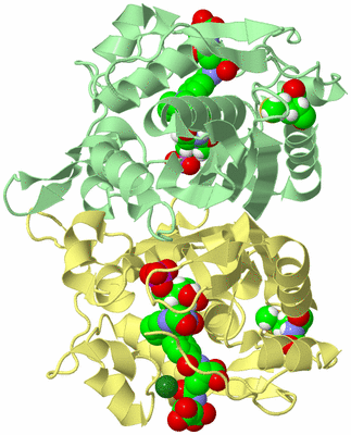 Image Biological Unit 2