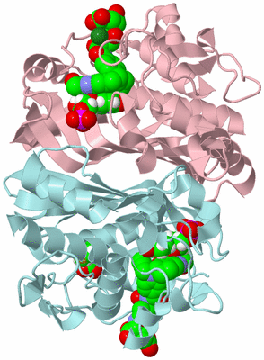 Image Biological Unit 3