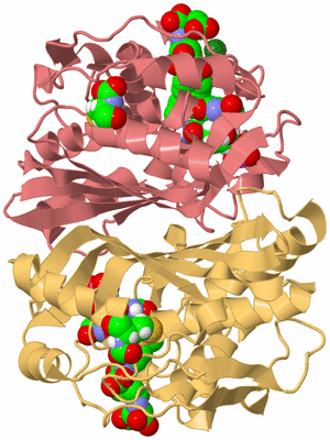 Image Biological Unit 4