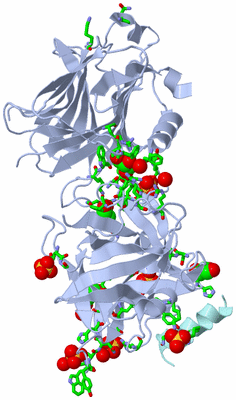 Image Biol. Unit 1 - sites