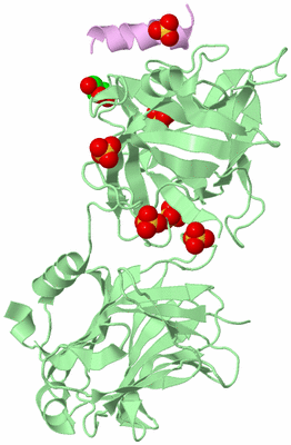 Image Biological Unit 2