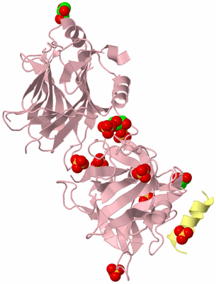 Image Biological Unit 3