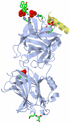 Image Biol. Unit 1 - sites