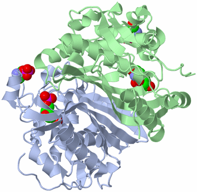 Image Asym./Biol. Unit