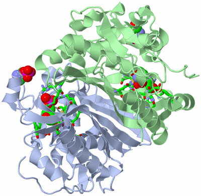 Image Asym./Biol. Unit - sites