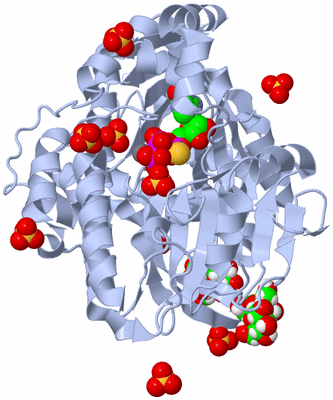 Image Biological Unit 1