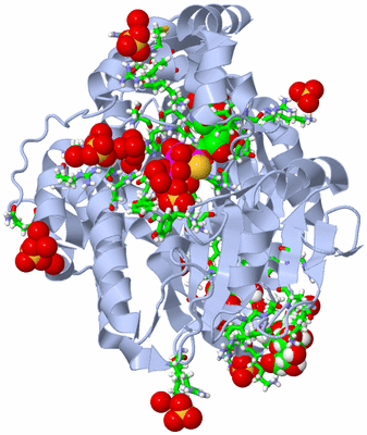 Image Biol. Unit 1 - sites