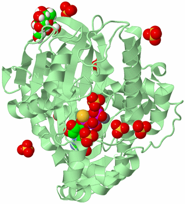 Image Biological Unit 2