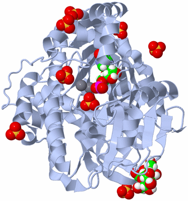 Image Biological Unit 1