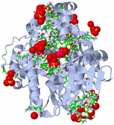 Image Biol. Unit 1 - sites