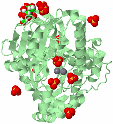 Image Biological Unit 2