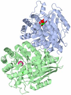 Image Biological Unit 1