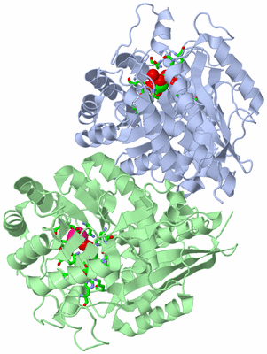 Image Biol. Unit 1 - sites