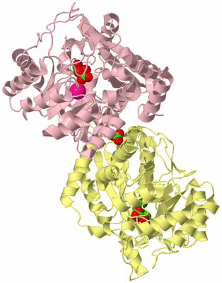 Image Biological Unit 2