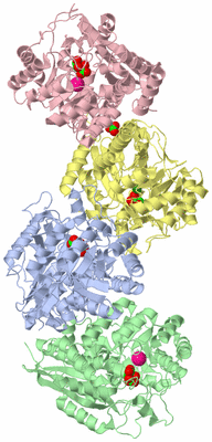 Image Biological Unit 3