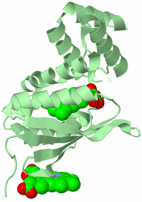 Image Biological Unit 2