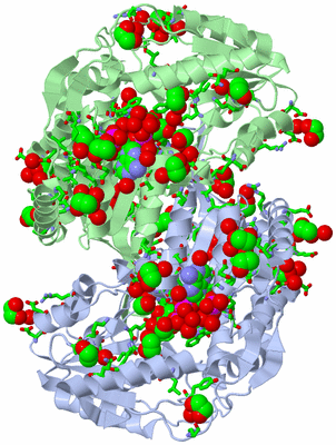 Image Asym./Biol. Unit - sites